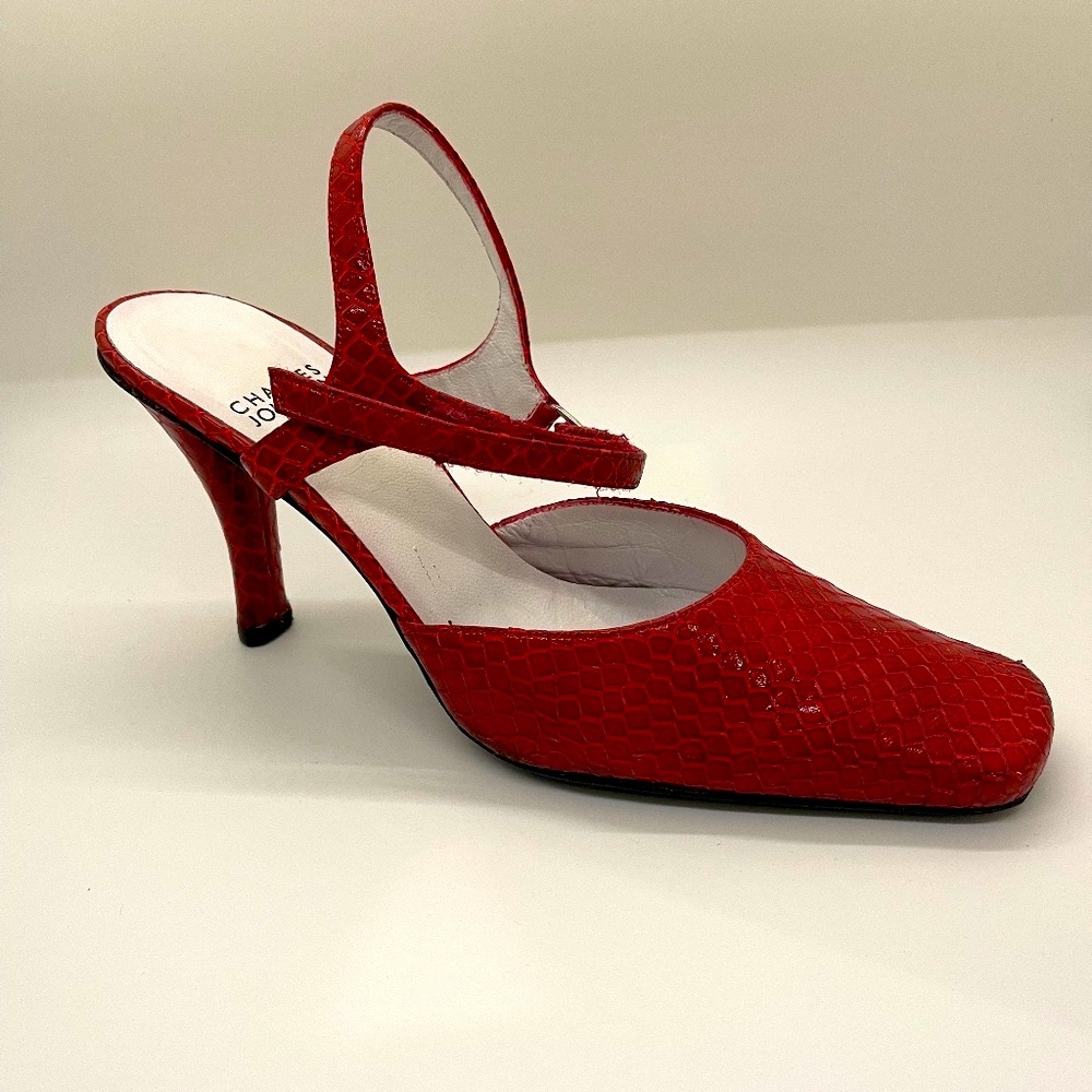 Charles Jourdan (Paris) dress shoe